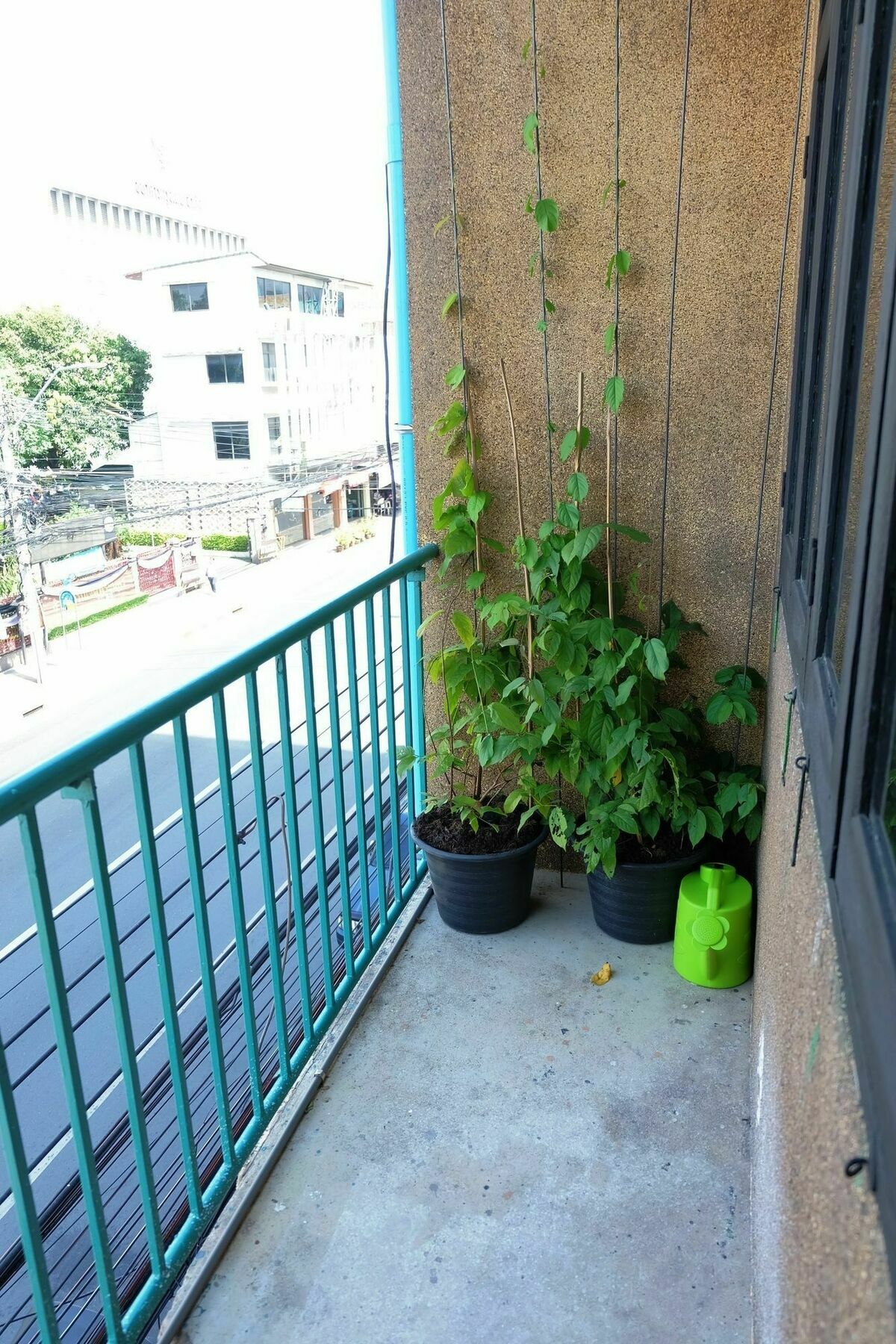 Bts Khaosan Hostel بانكوك المظهر الخارجي الصورة